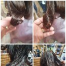 에코비아 - 791 | 에코비아