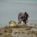 월등도 입구 이미지