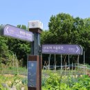 신영새싹길 티스토리