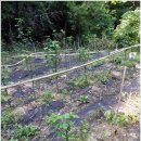 장척농장 이미지