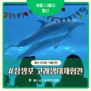 울산 아이랑 가볼만한 곳 추천, 장생포 고래생태체험관이 특별했던 이유 45개월 남매둥이 후기