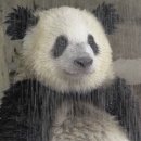 (유)형석 로얄호텔 | W1. 결혼 준비는 웨딩홀 선정부터 / 선정 과정 및 체크리스트 / 더링크호텔 계약 ღ