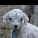 은아네집 이미지