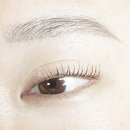브로우스토리