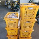 대전가톨릭농수산물지원센터 이미지