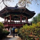 매봉산 정상 이미지