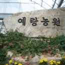 예랑농원 이미지