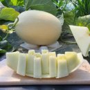 얼쑤농장 이미지