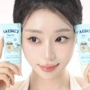 해달기획