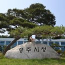 리더스할인마트