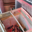 김혜경제주항통갈치