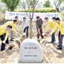 아라시장