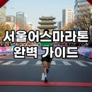 구청 광장 대로변 | 2025 서울어스마라톤 코스부터 기념품까지! 완벽 정리 가이드
