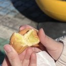 천안호두(부산)휴게소 | 천안호두휴게소(부산방향) 방문 후기, 델리만쥬 팔아요!