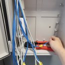 신도베스트