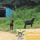 녹동리 이미지