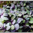 충남농약사 이미지