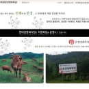 영천582 이미지
