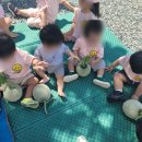 삼산농장 이미지