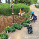 논현2동-5 이미지