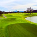 솔라시도 컨트리클럽 이미지