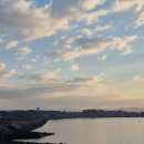 11545-12-24-05 | 태안 출조 후기 (24/12/05) <쭈>