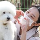 강아지사랑 이미지