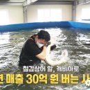 함양군 철갑상어 영어조합 이미지