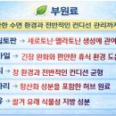 메디칼현대약국 이미지