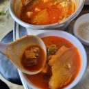 섬돼지