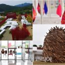 영월Y파크(술샘박물관) 이미지