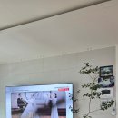 식물 인테리어 | 대구 왜관 거실 화분 구아바나무 대형 거실인테리어 식물 배송 후기