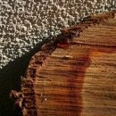 주희(JooHee) 이미지