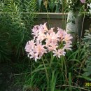 상리마을회관 이미지