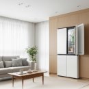 873 | LG 디오스 4도어 870L T873MHH111 냉장고 실사용 후기