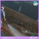 태성조경산업