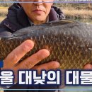 강호얼레꾼 45회 [대낮에도 사짜나오는 한방터] 이미지