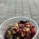 26230-73-10-008 | 다이어트 45~51일차 다가온 결산일과 마지막 스퍼트