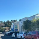 상안가든 | [제주] 제주 핫한 신상카페 레미콘(구 시멘트) 복합 문화공간 레드향요거트브레드 뷜레코르네 내돈내산...