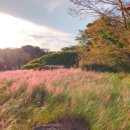 소노케어 이미지