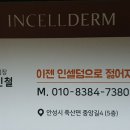 인셀덤 서울본부 안성