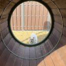 오수의견 국민여가캠핑장 | 반려동물 동반 캠핑장- 오수의견국민여가캠핑장 방문기🏕️🐾