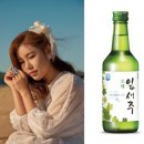 모델 이미지