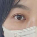 세종 속눈썹 아이호 | 세종시 속눈썹 나성동속눈썹 아이호에서 속눈썹펌
