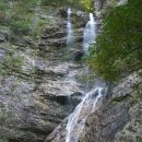 강촌초코민트 이미지