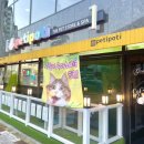 페티포티 이미지