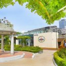 장미카페 이미지