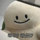 2026년 6월 28일 다다다 단독 공연 〈운동장 : 너만을 위한 로큰롤〉 후기