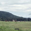 해성목장 이미지