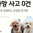 멍멍아 여기어때 네이버블로그